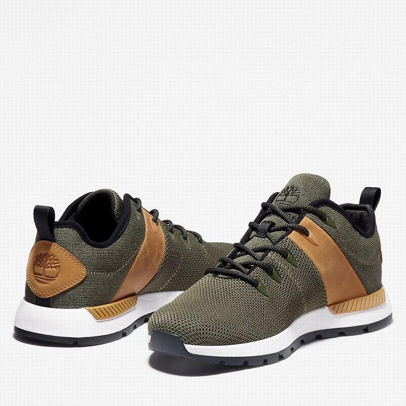 Timberland Sprint Trekker Tenisice Maslinasto Zelene | 14332518