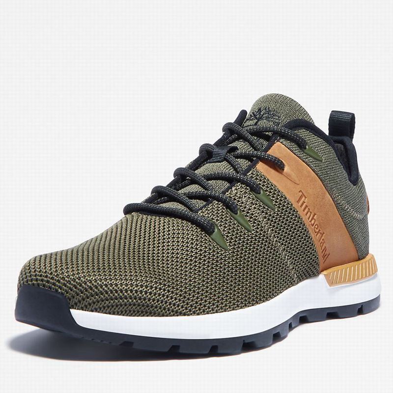 Timberland Sprint Trekker Tenisice Maslinasto Zelene | 14332518