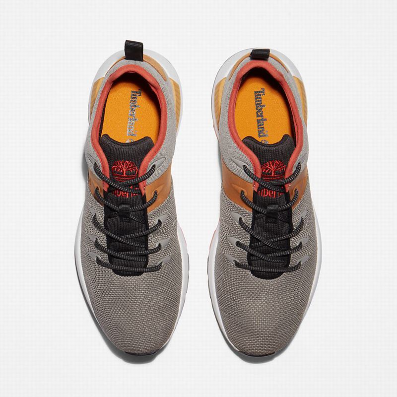 Timberland Sprint Trekker Tenisice Sive | 62444999