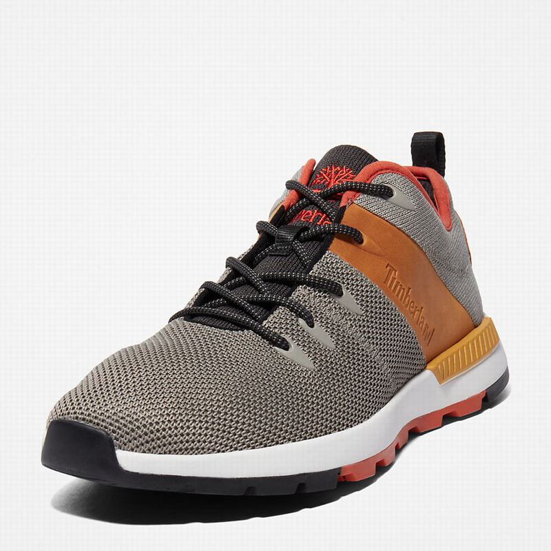 Timberland Sprint Trekker Tenisice Sive | 62444999