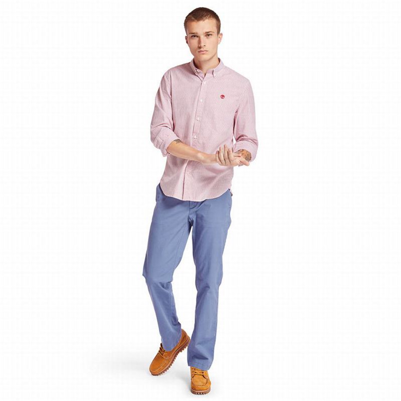 Timberland Squam Lake Chino Hlače Plave | 55244671