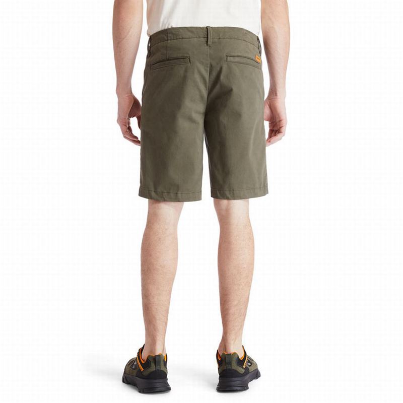 Timberland Squam Lake Chino Kratke Hlače Maslinasto Zelene | 25791562