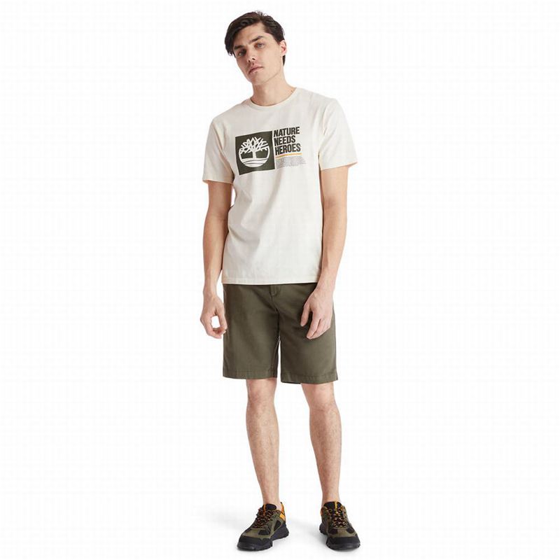 Timberland Squam Lake Chino Kratke Hlače Maslinasto Zelene | 25791562