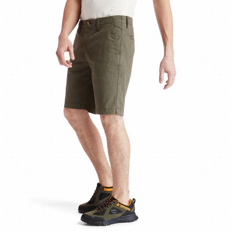 Timberland Squam Lake Chino Kratke Hlače Maslinasto Zelene | 25791562