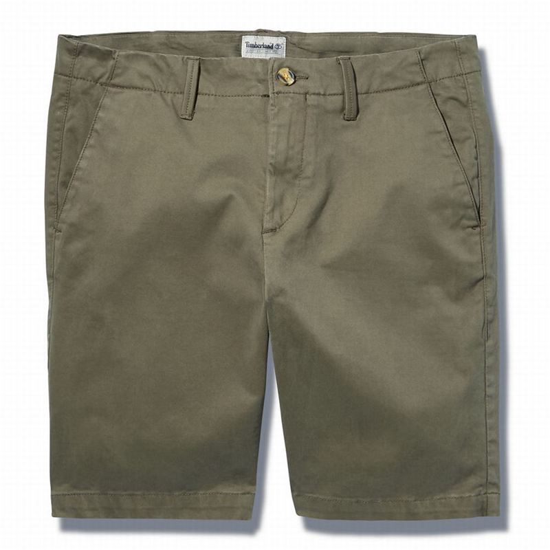 Timberland Squam Lake Chino Kratke Hlače Maslinasto Zelene | 25791562