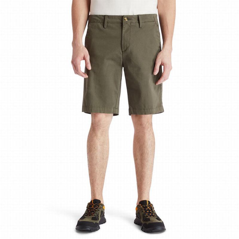 Timberland Squam Lake Chino Kratke Hlače Maslinasto Zelene | 25791562