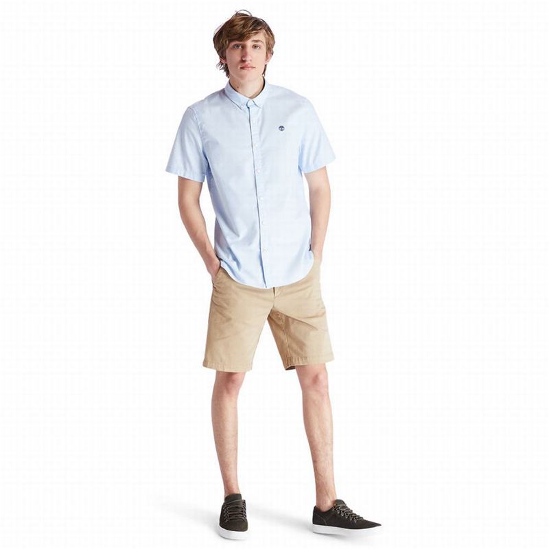Timberland Squam Lake Chino Kratke Hlače Kaki Boja | 86404941