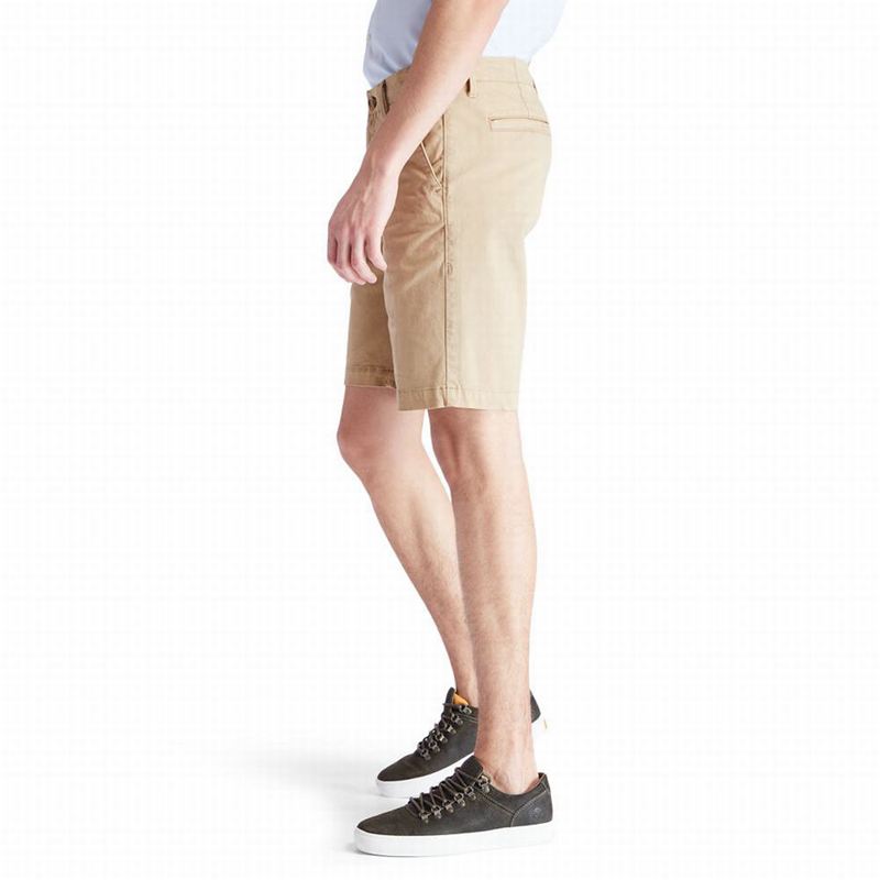 Timberland Squam Lake Chino Kratke Hlače Kaki Boja | 86404941