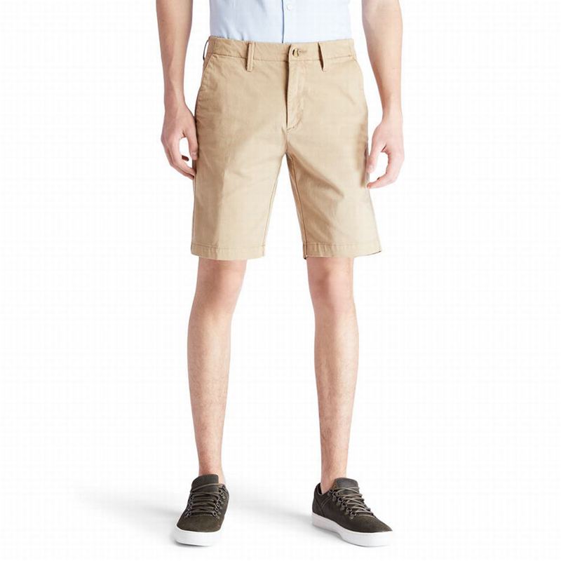 Timberland Squam Lake Chino Kratke Hlače Kaki Boja | 86404941