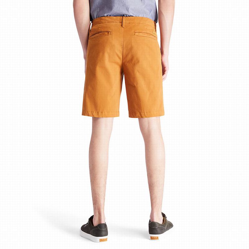Timberland Squam Lake Chino Kratke Hlače Žute | 88319814