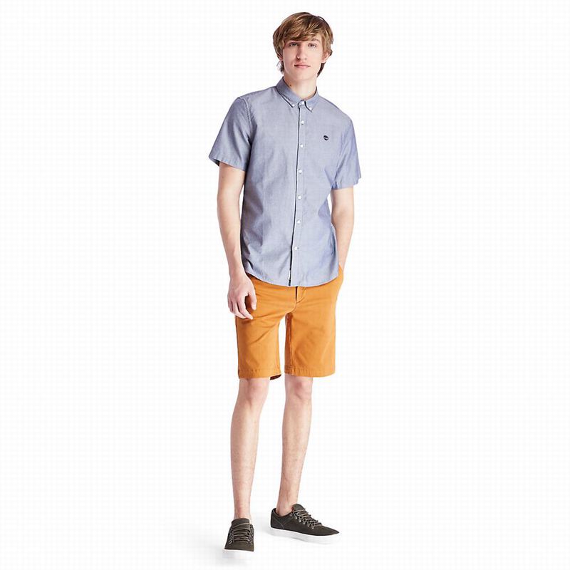 Timberland Squam Lake Chino Kratke Hlače Žute | 88319814
