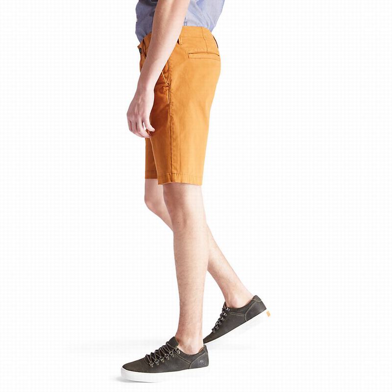 Timberland Squam Lake Chino Kratke Hlače Žute | 88319814