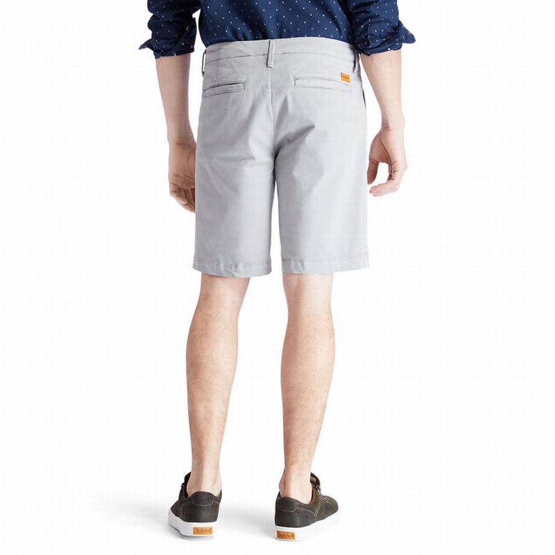 Timberland Squam Lake Chino Kratke Hlače Sive | 98494516