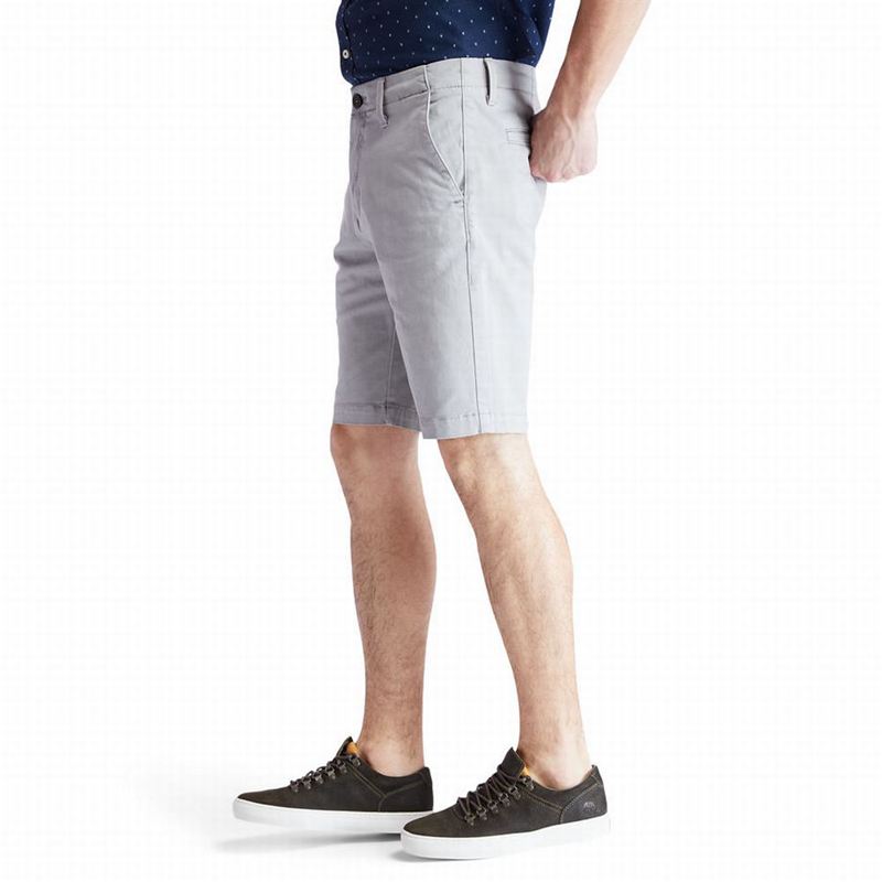 Timberland Squam Lake Chino Kratke Hlače Sive | 98494516