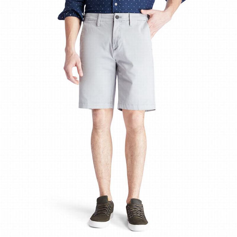 Timberland Squam Lake Chino Kratke Hlače Sive | 98494516