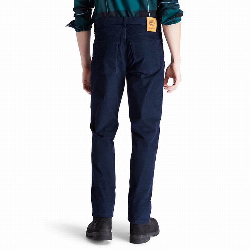 Timberland Squam Lake Corduroy Hlače Tamnoplave | 72076815