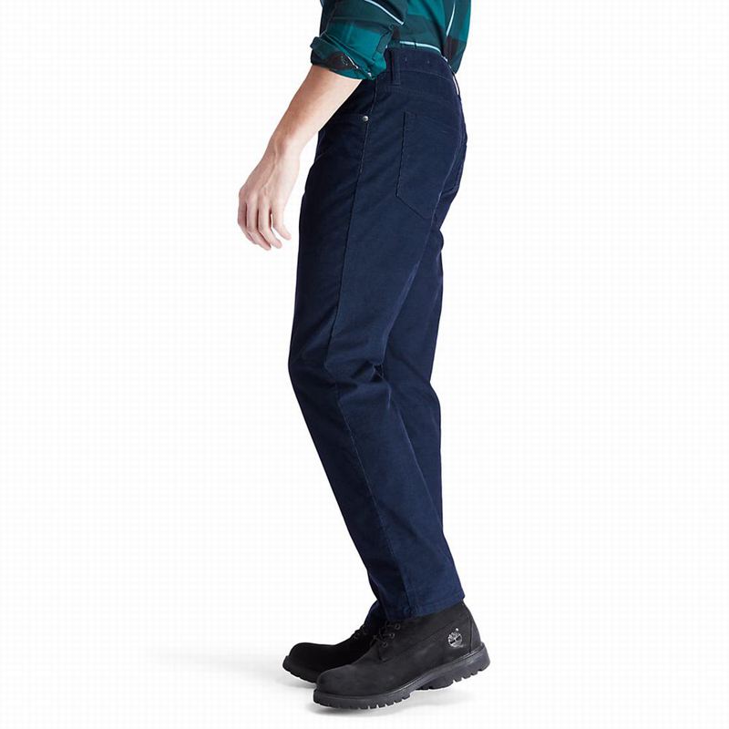 Timberland Squam Lake Corduroy Hlače Tamnoplave | 72076815