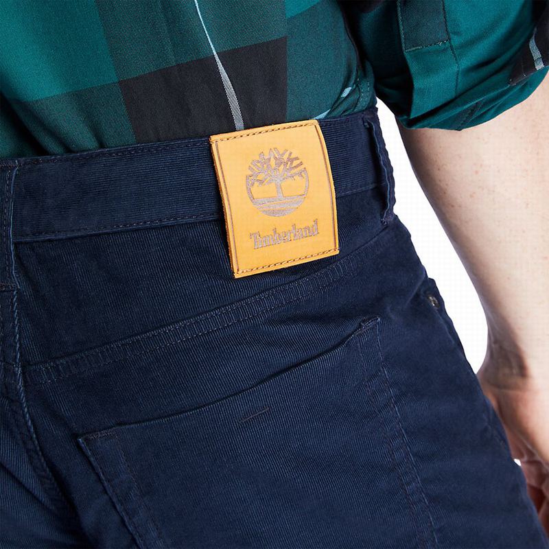 Timberland Squam Lake Corduroy Hlače Tamnoplave | 72076815