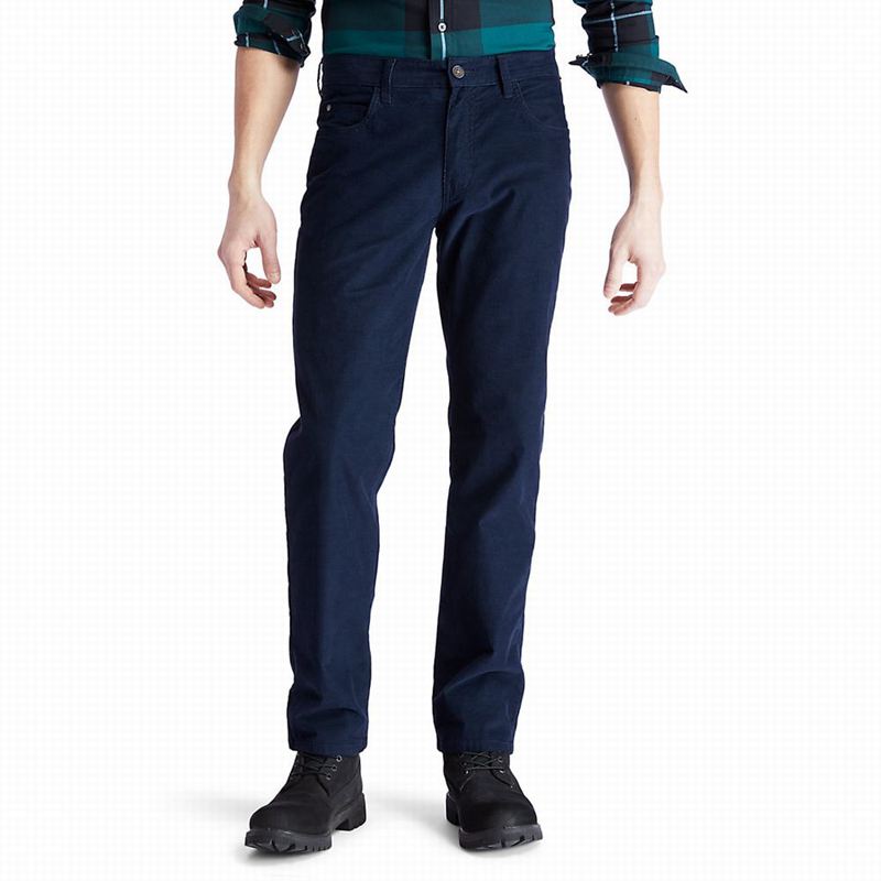 Timberland Squam Lake Corduroy Hlače Tamnoplave | 72076815