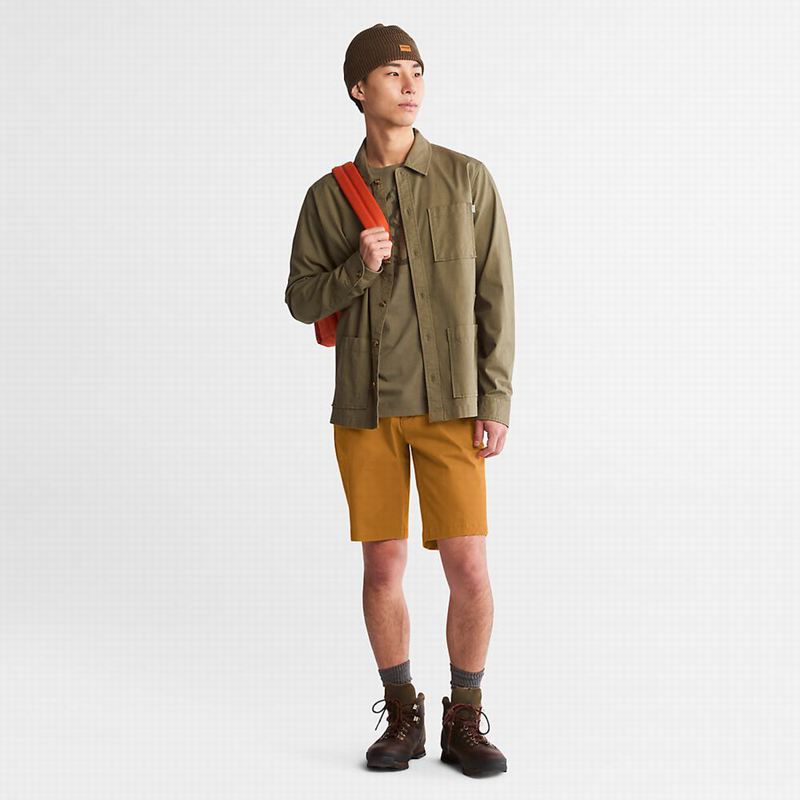 Timberland Squam Lake Stretch Chino Kratke Hlače Žute | 53309212