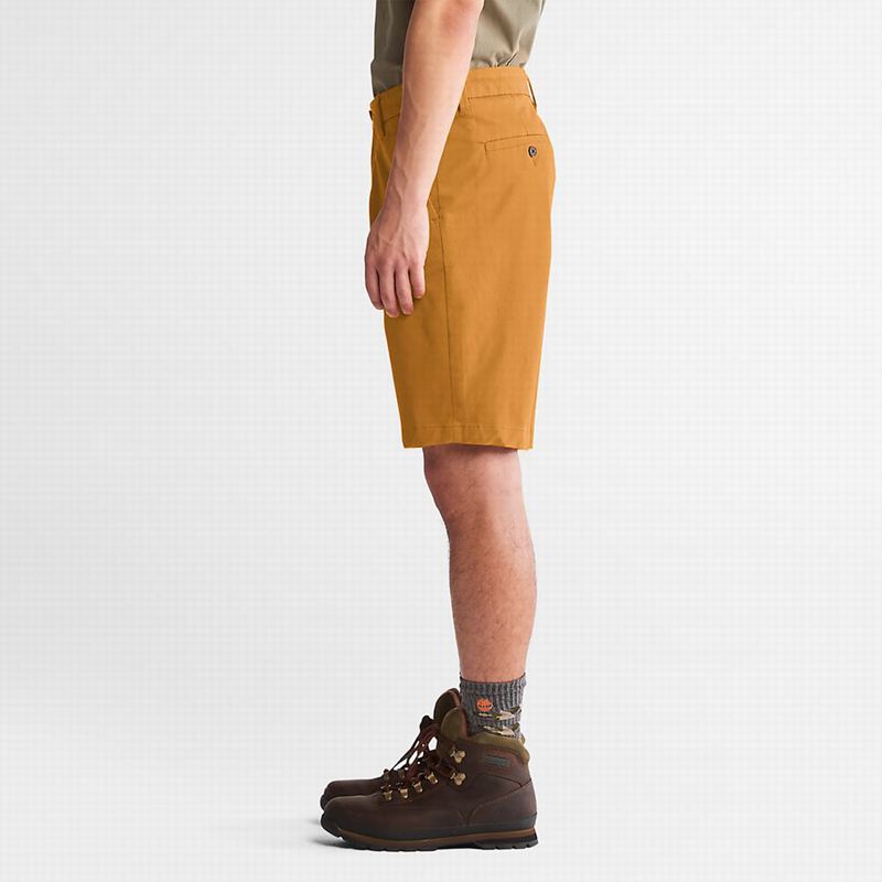 Timberland Squam Lake Stretch Chino Kratke Hlače Žute | 53309212