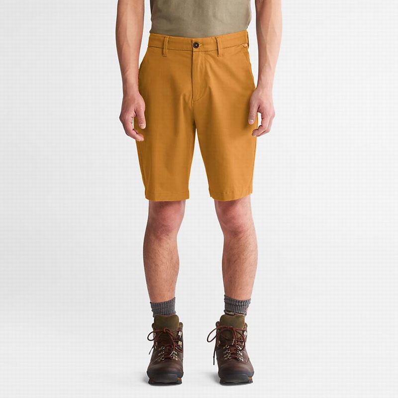 Timberland Squam Lake Stretch Chino Kratke Hlače Žute | 53309212
