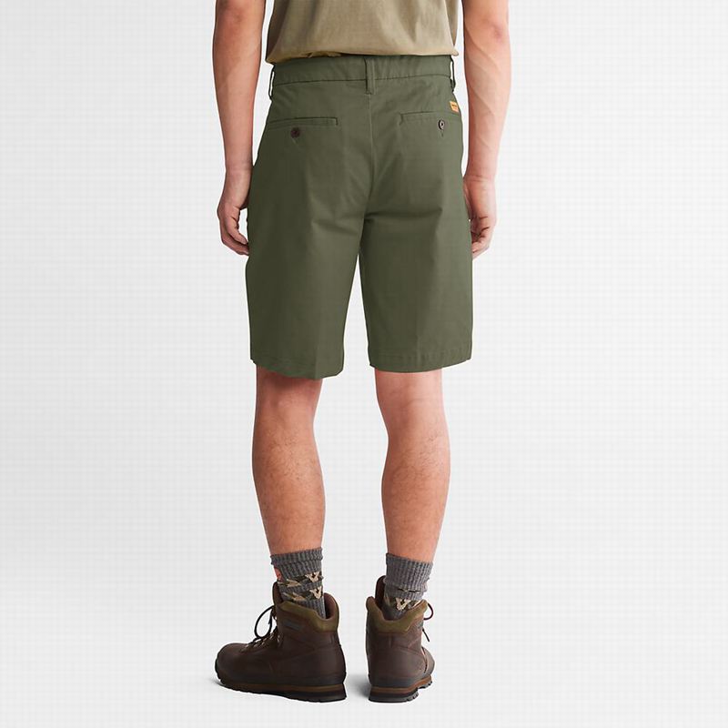 Timberland Squam Lake Stretch Chino Kratke Hlače Maslinasto Zelene | 65195623