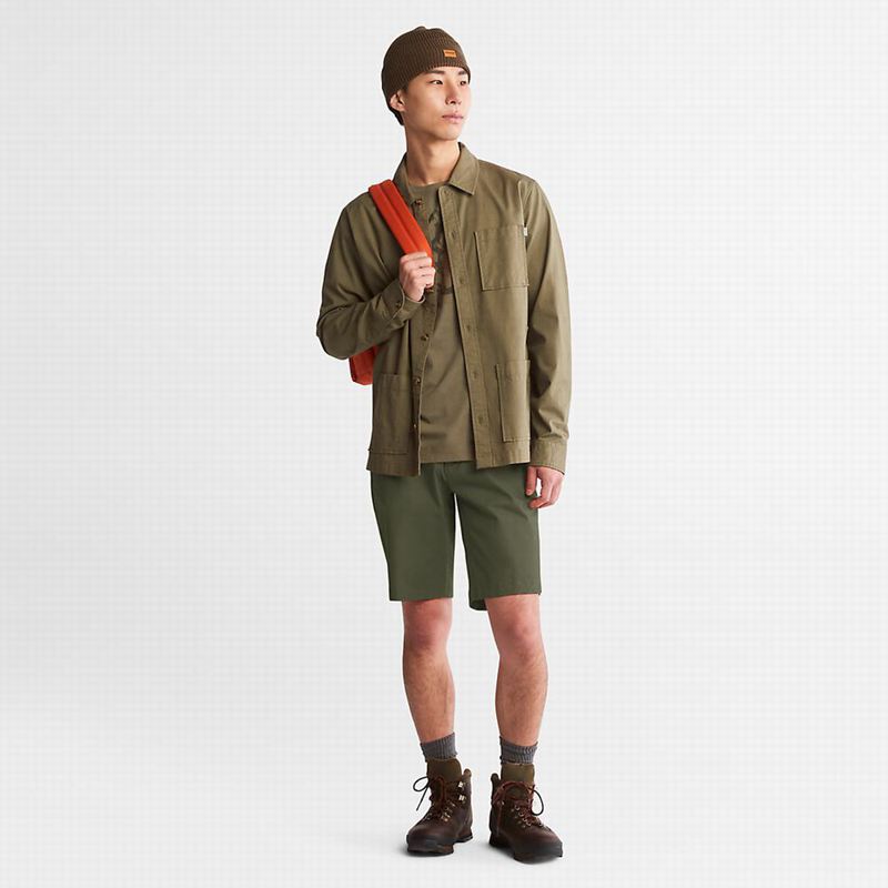 Timberland Squam Lake Stretch Chino Kratke Hlače Maslinasto Zelene | 65195623