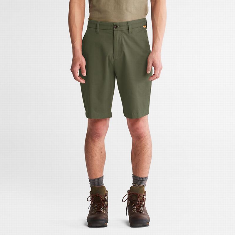 Timberland Squam Lake Stretch Chino Kratke Hlače Maslinasto Zelene | 65195623