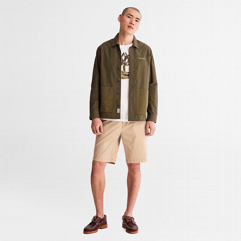 Timberland Squam Lake Stretch Chino Kratke Hlače Bež | 65237037