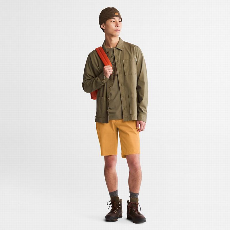 Timberland Squam Lake Stretch Chino Kratke Hlače Narančaste | 67293780