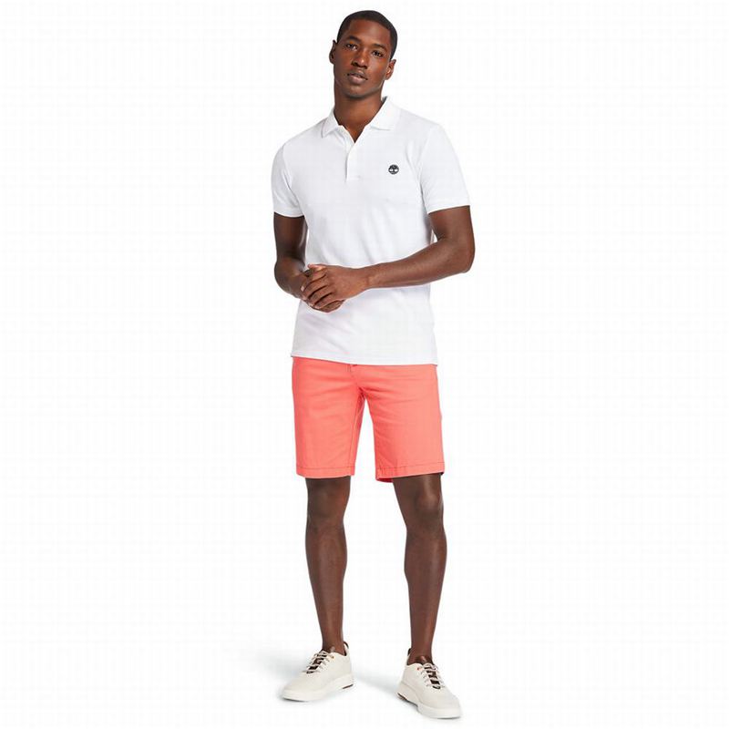 Timberland Squam Lake Stretch Chino Kratke Hlače Crvene | 77996851