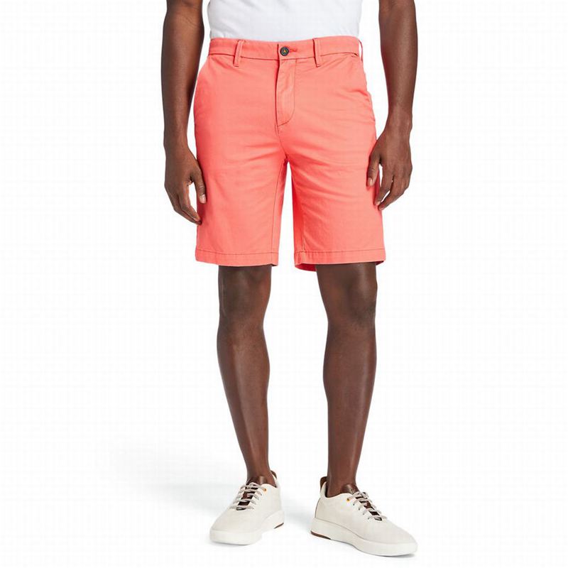 Timberland Squam Lake Stretch Chino Kratke Hlače Crvene | 77996851