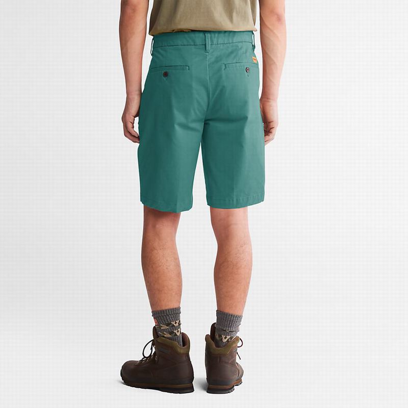 Timberland Squam Lake Stretch Chino Kratke Hlače Maslinasto Zelene | 84277050
