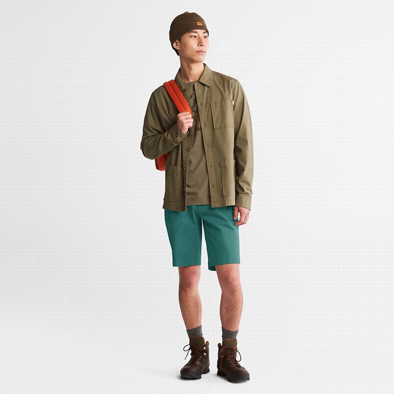Timberland Squam Lake Stretch Chino Kratke Hlače Maslinasto Zelene | 84277050