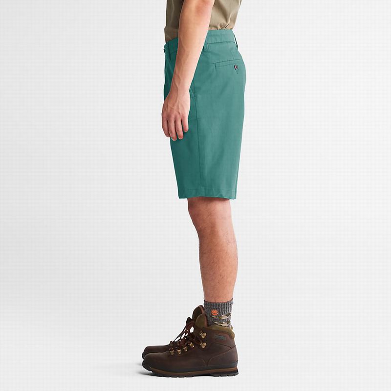 Timberland Squam Lake Stretch Chino Kratke Hlače Maslinasto Zelene | 84277050
