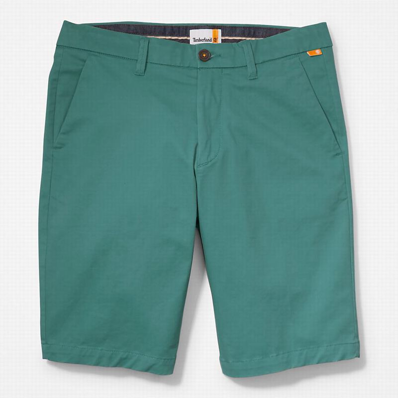 Timberland Squam Lake Stretch Chino Kratke Hlače Maslinasto Zelene | 84277050