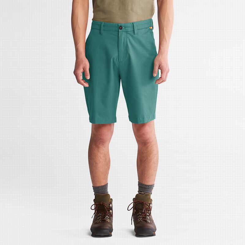 Timberland Squam Lake Stretch Chino Kratke Hlače Maslinasto Zelene | 84277050