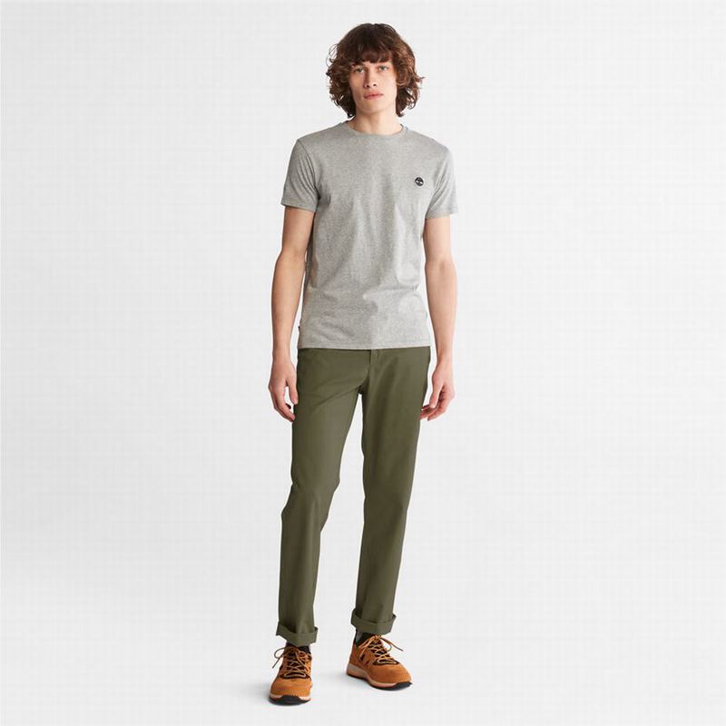 Timberland Squam Lake Twill Chino Hlače Maslinasto Zelene | 77070779