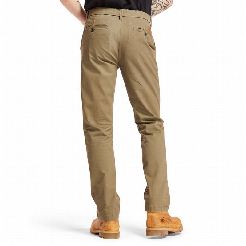 Timberland Squam Lake Twill Chino Hlače Maslinasto Zelene | 79333793