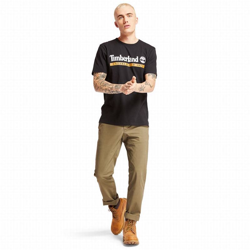 Timberland Squam Lake Twill Chino Hlače Maslinasto Zelene | 79333793