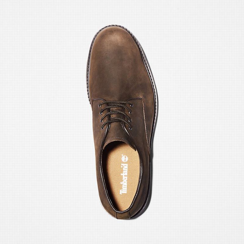 Timberland Stormbucks Oxfordice Smeđe | 3135764