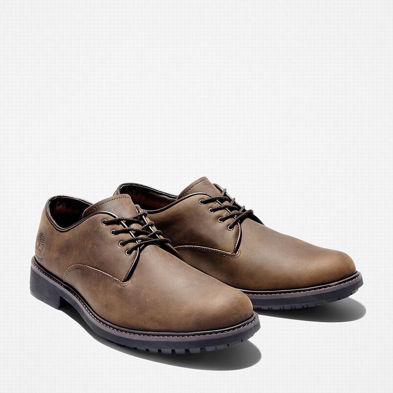 Timberland Stormbucks Oxfordice Smeđe | 3135764