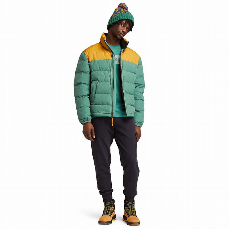 Timberland Stow-and-Go Donje Jakne Maslinasto Zelene | 29374548