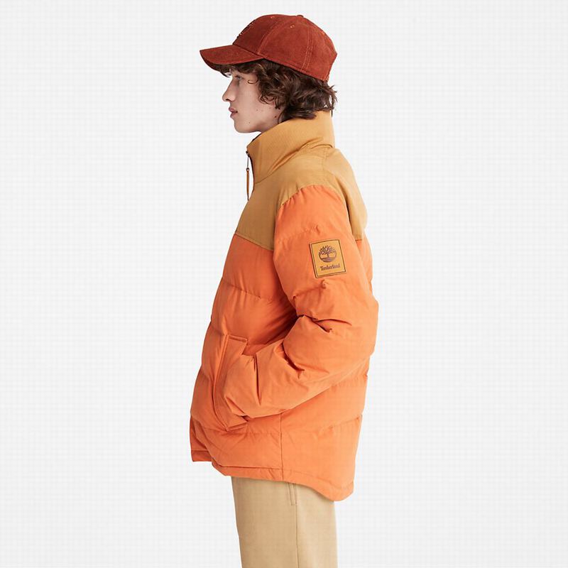 Timberland Stow-and-Go Donje Jakne Smeđe | 6404540