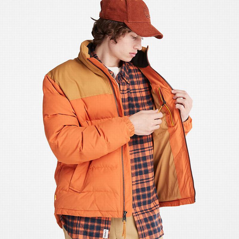 Timberland Stow-and-Go Donje Jakne Smeđe | 6404540