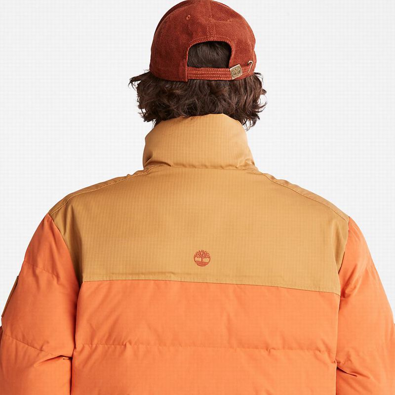 Timberland Stow-and-Go Donje Jakne Smeđe | 6404540