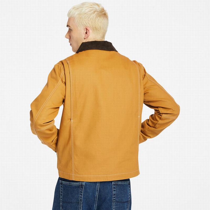 Timberland Stratham Winter Bomber Jakna Žute | 71138954
