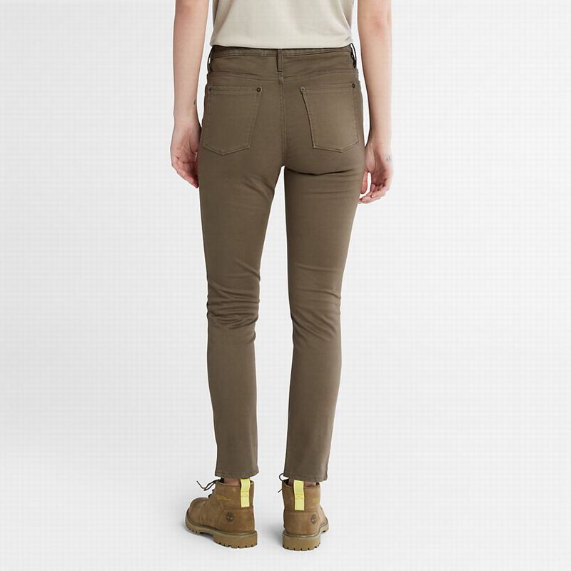 Timberland Stretch Chino Hlače Maslinasto Zelene | 94661110