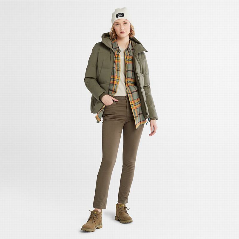 Timberland Stretch Chino Hlače Maslinasto Zelene | 94661110